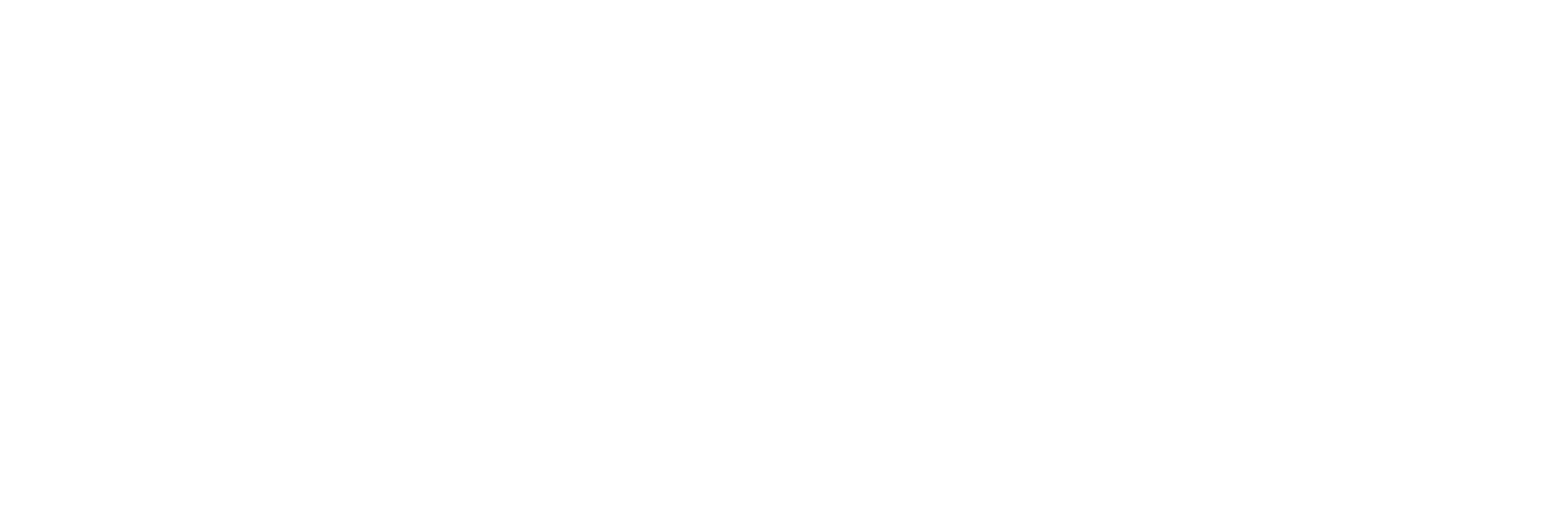 Wallstudio Logo